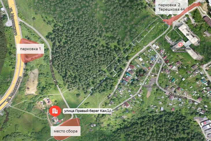 25 мая иркутян приглашают принять участие в массовой посадке деревьев