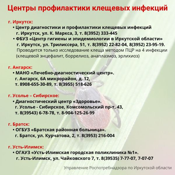 27 укусов клещей зарегистрировали в Иркутской области с начала весны