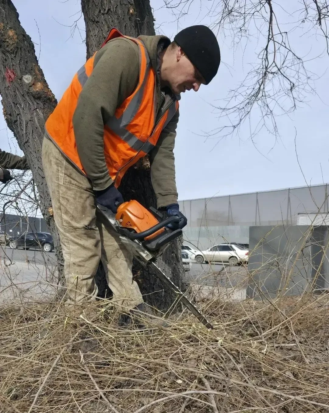Общественные пространства Иркутска готовят к празднованию Дня Победы