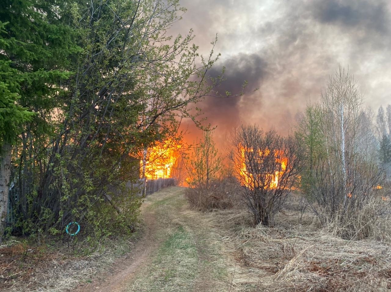 30 дачных домов сгорело в садоводстве "Механизатор" в Братском районе