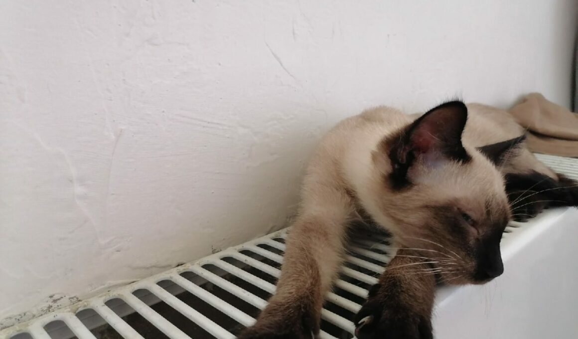 38 жителей Братского района остались без тепла из-за аварии