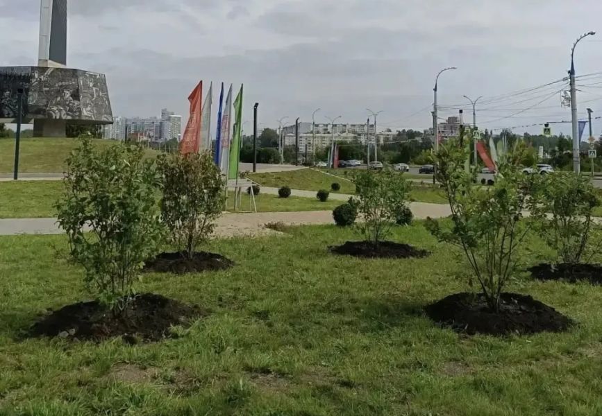 Иркутск стал зеленее: в городе высадили почти 300 деревьев и кустарников