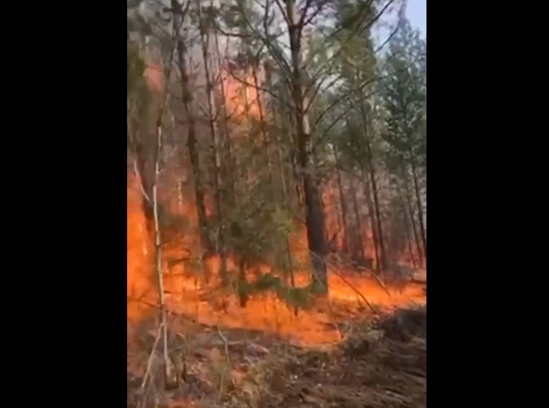 8 лесных пожаров действует в Иркутской области на утро 13 мая