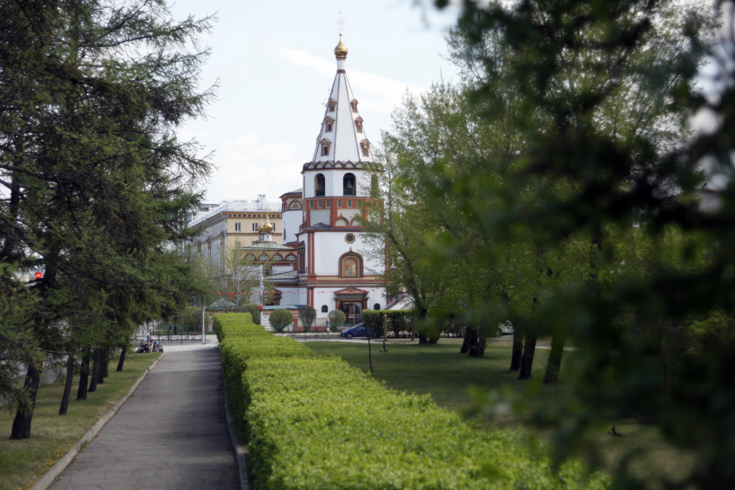 82 случая COVID выявили Приангарье за сутки