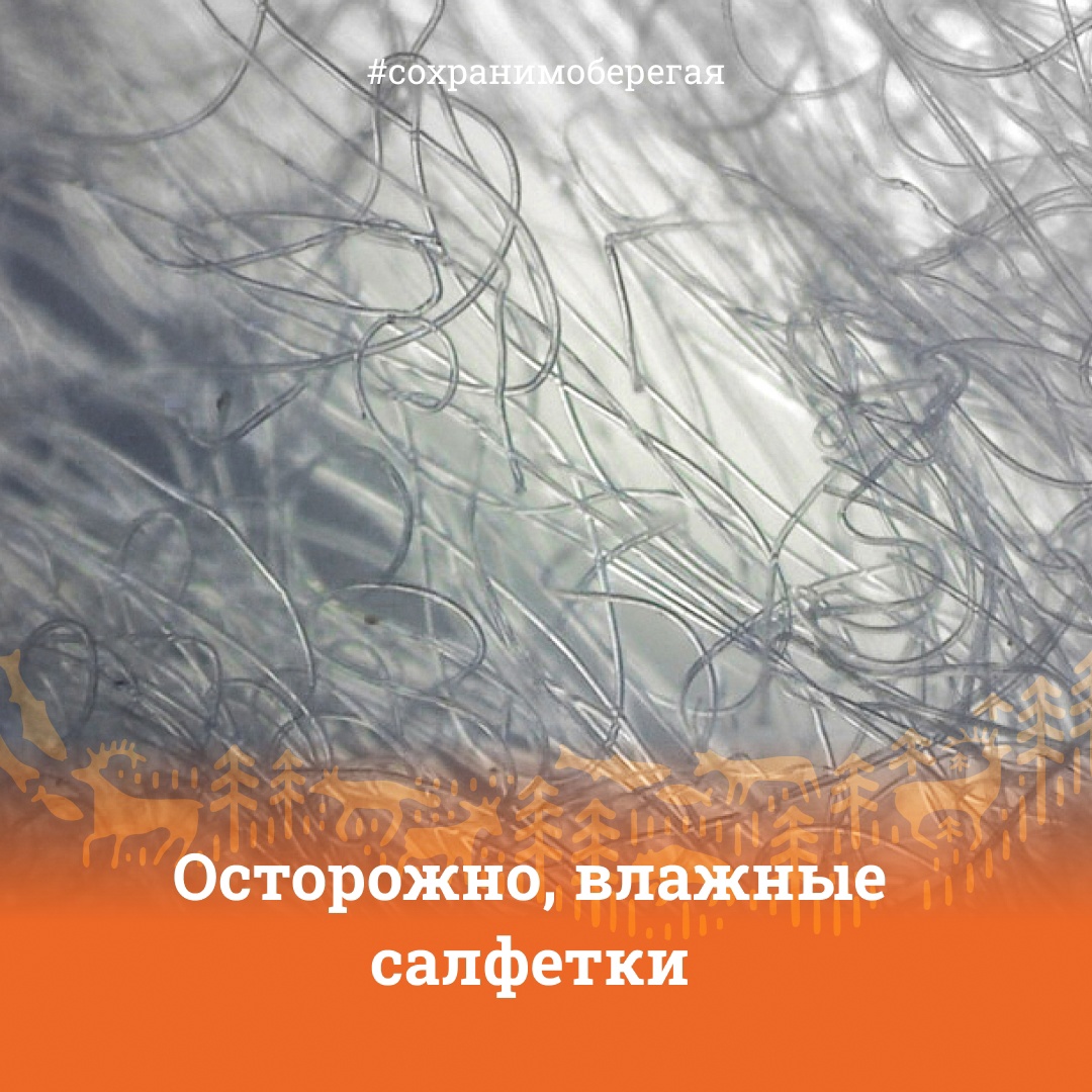 В "Заповедном Прибайкалье" показали, почему влажные салфетки опасны для экологии