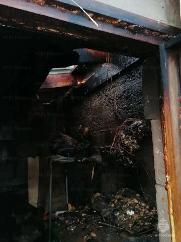 За сутки в Иркутской области произошло 8 пожаров: горели дома, автомобили и торговый павильон