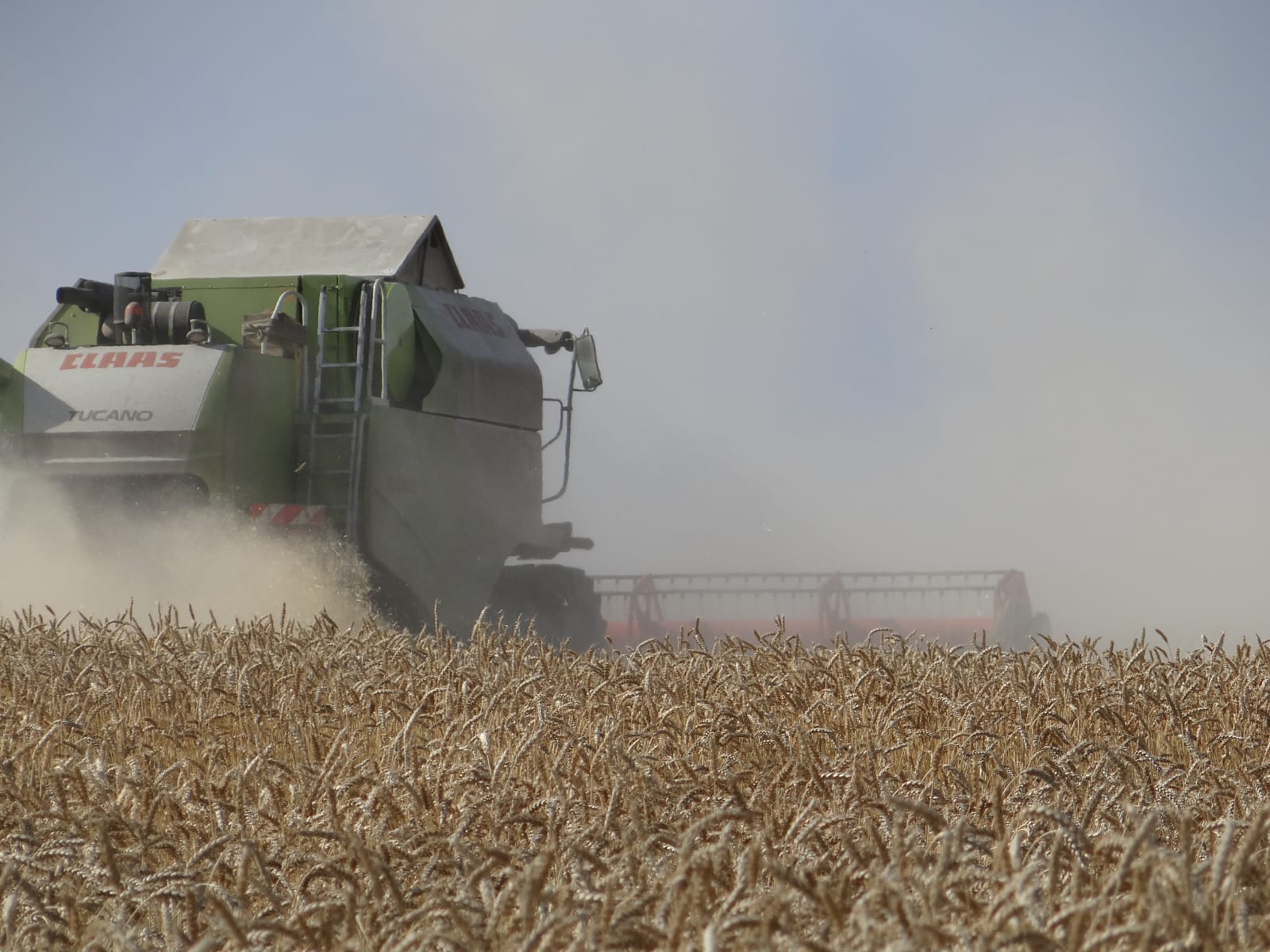 Аграрии Иркутской области собрали более 200 тысяч тонн зерна