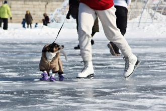 Акция "Все на лед" пройдет 25 января в Иркутске и еще трех городах Приангарья