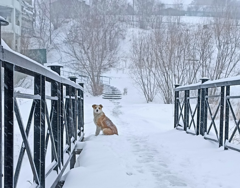 Апрель 2023 года в Иркутской области стал самым холодным за 13 лет