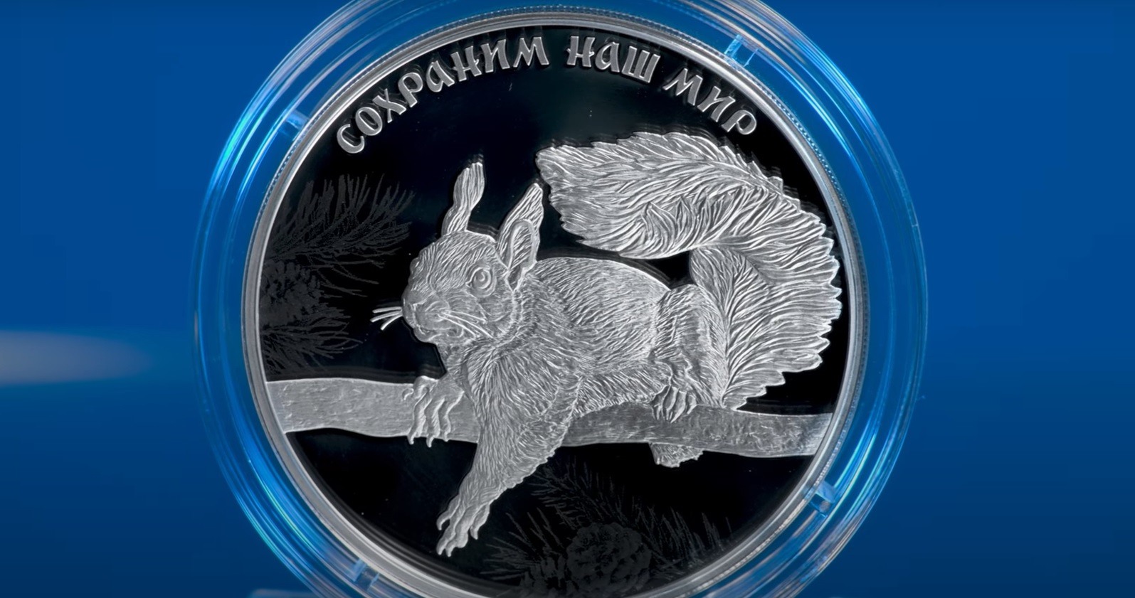 Банк России выпустил в обращение монеты с белкой