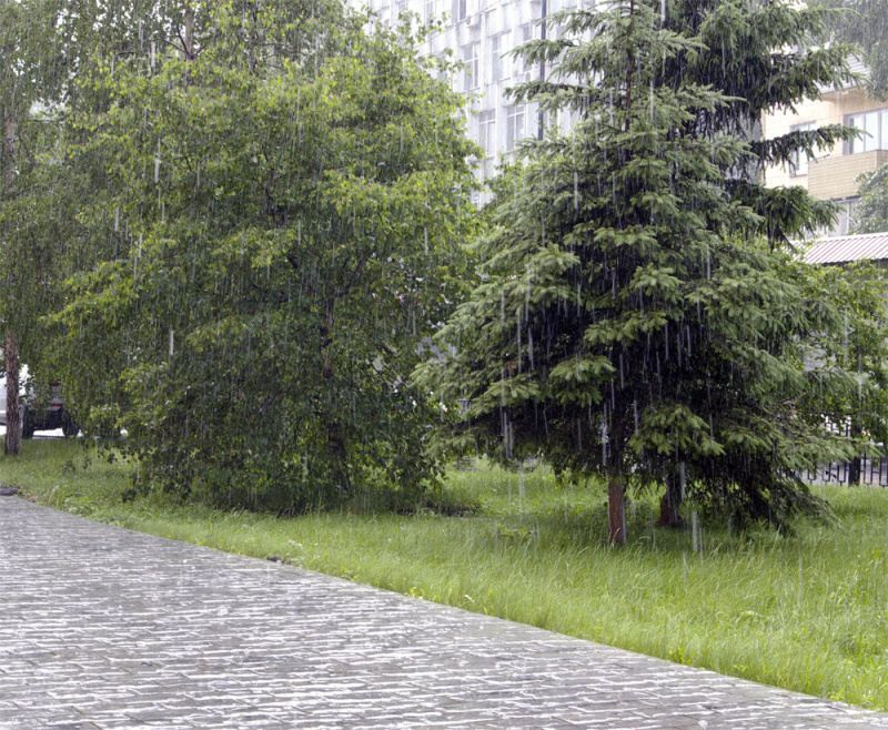Град, грозы и сильные дожди ожидаются в Приангарье 16 августа