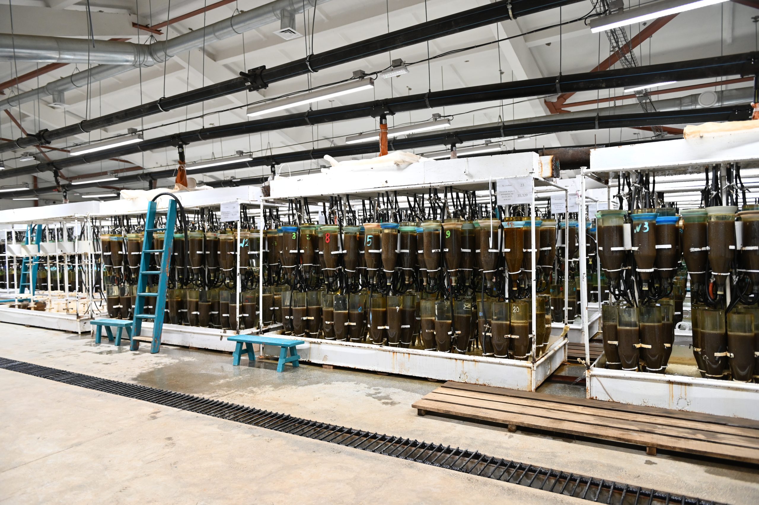 Большереченский омулевый завод в Бурятии модернизируют в рамках нацпроекта