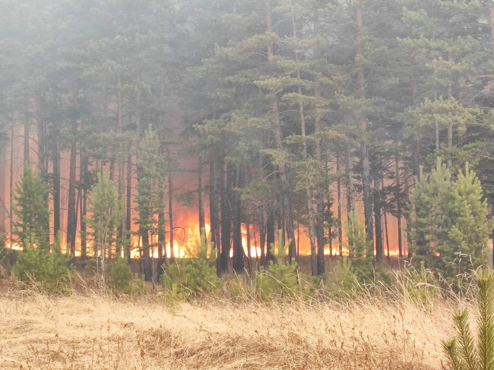 Четвертый день в Тункинском нацпарке тушат крупный лесной пожар