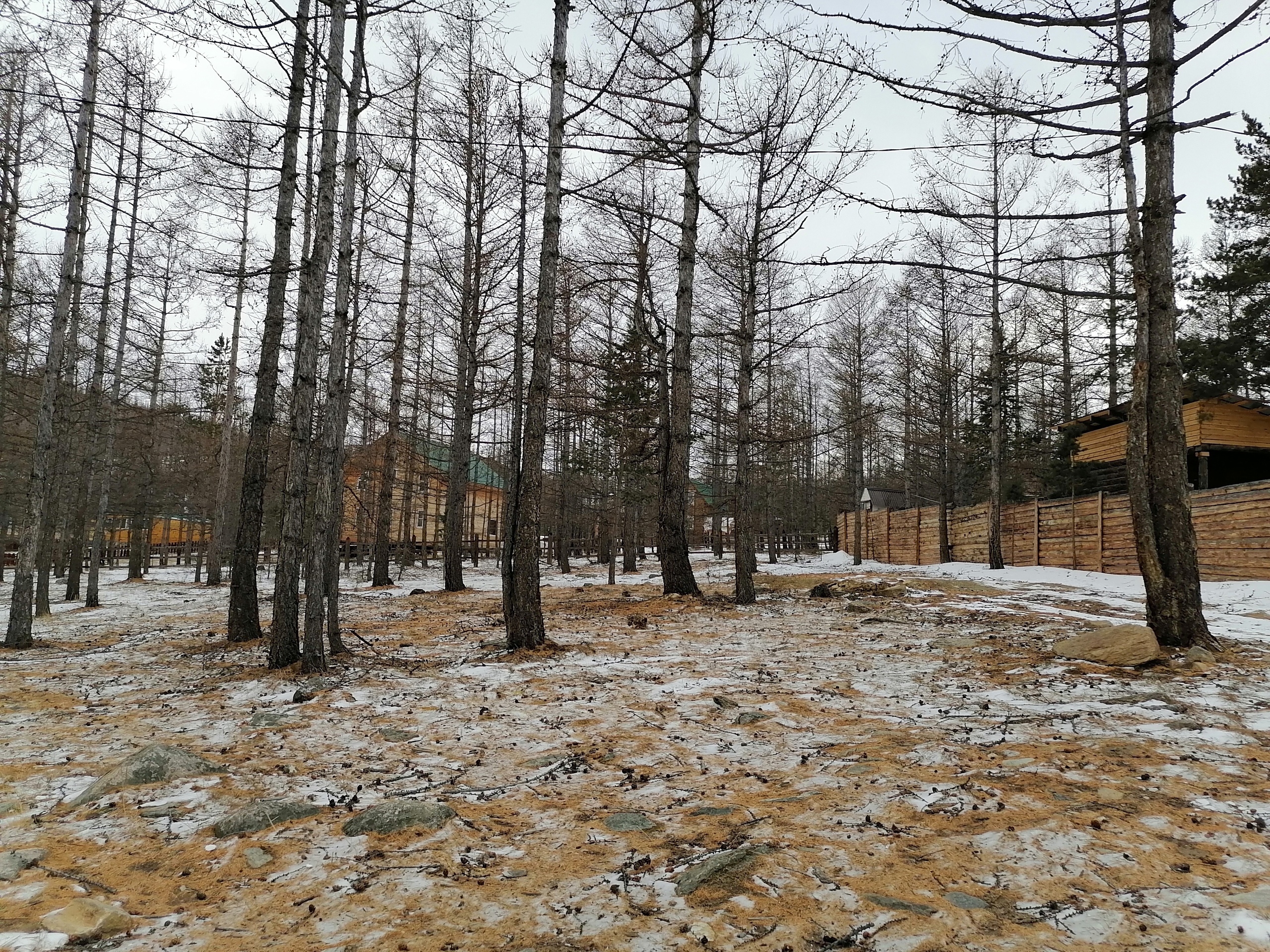 Четыре новых резидента построят отели в Байкальске до 2025 года