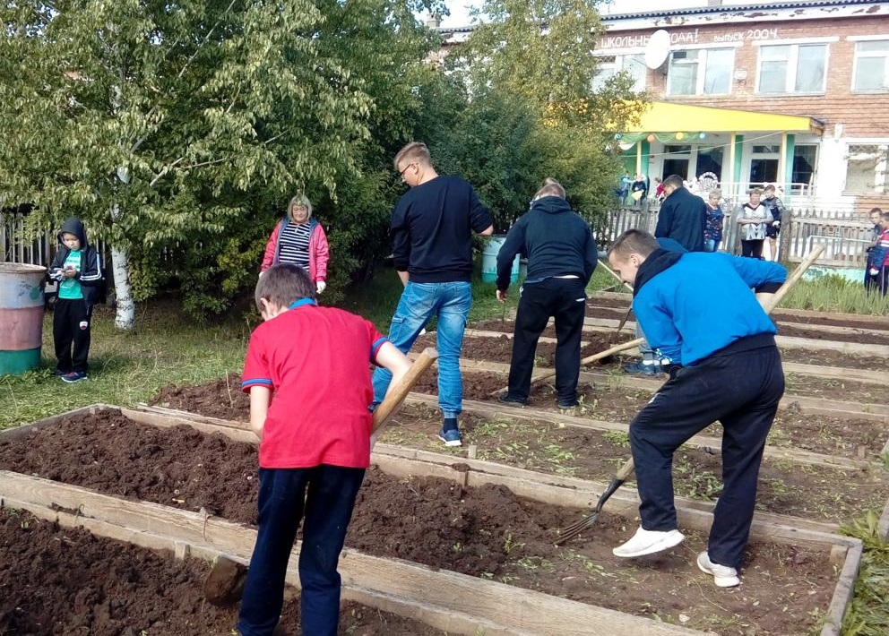 Школьники и взрослые работают в огороде.