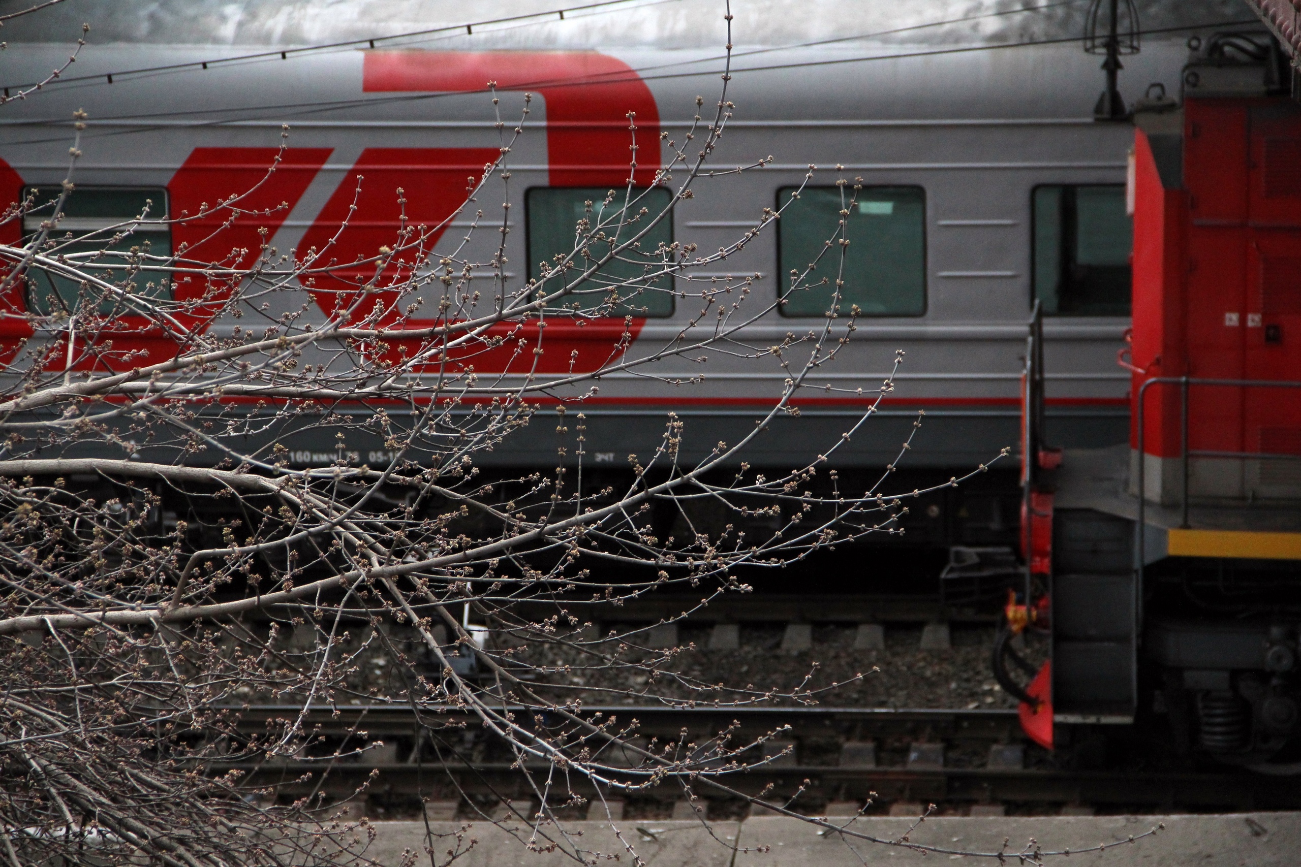 Летний дневной экспресс-поезд Иркутск - Улан-Удэ снова начнет ходить с 30 мая