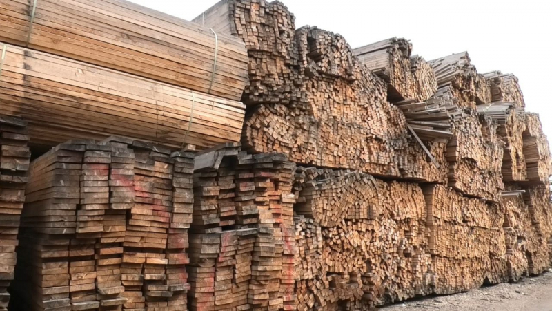 Канал контрабанды леса перекрыли в Приангарье