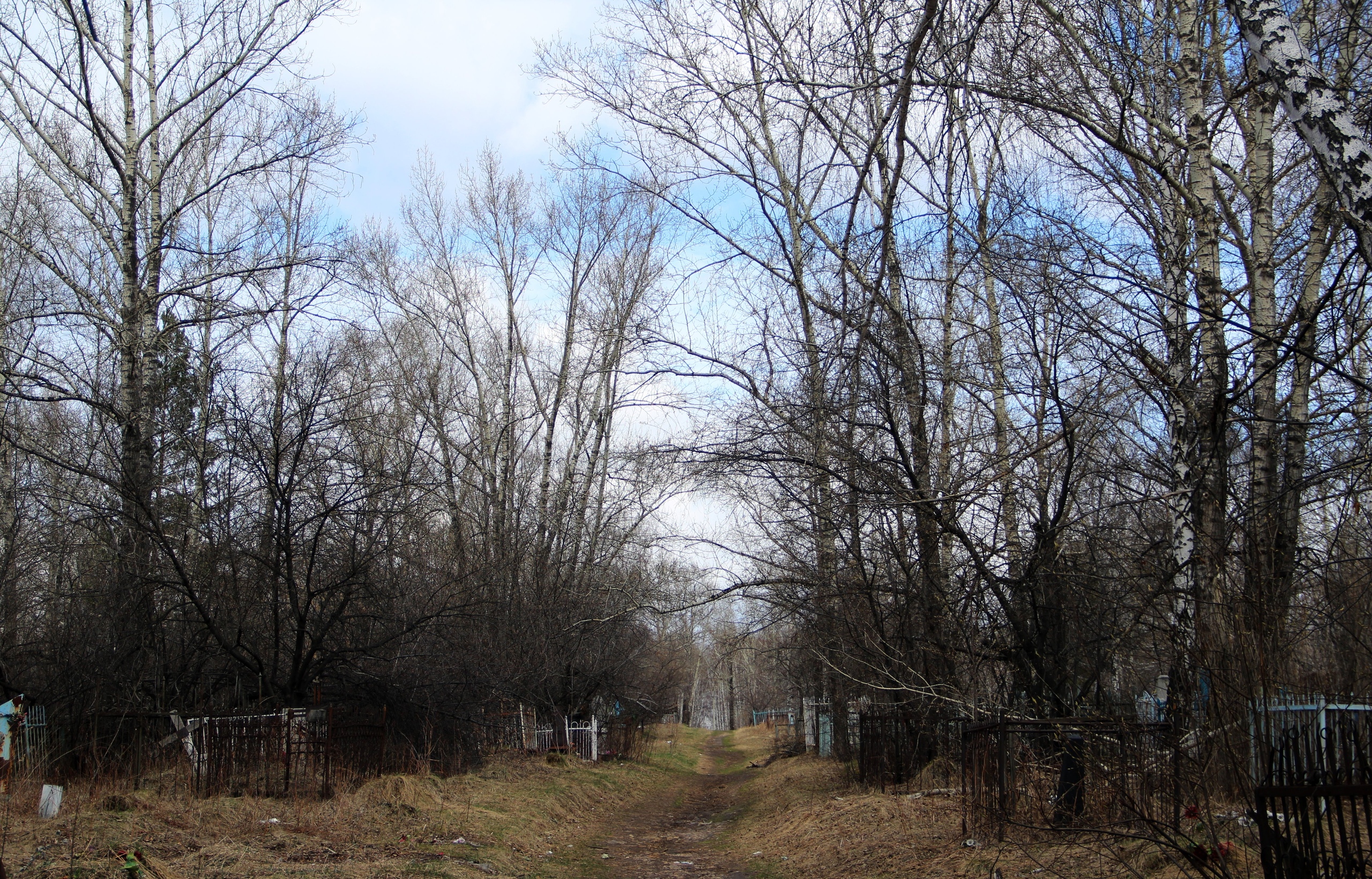 Директора ритуального агентства осудят в Приангарье за попытку продать место на кладбище за 200 тысяч рублей