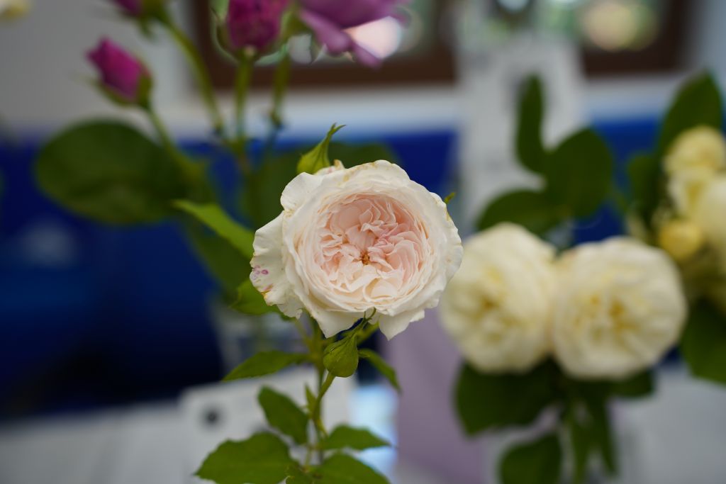 DSC01357