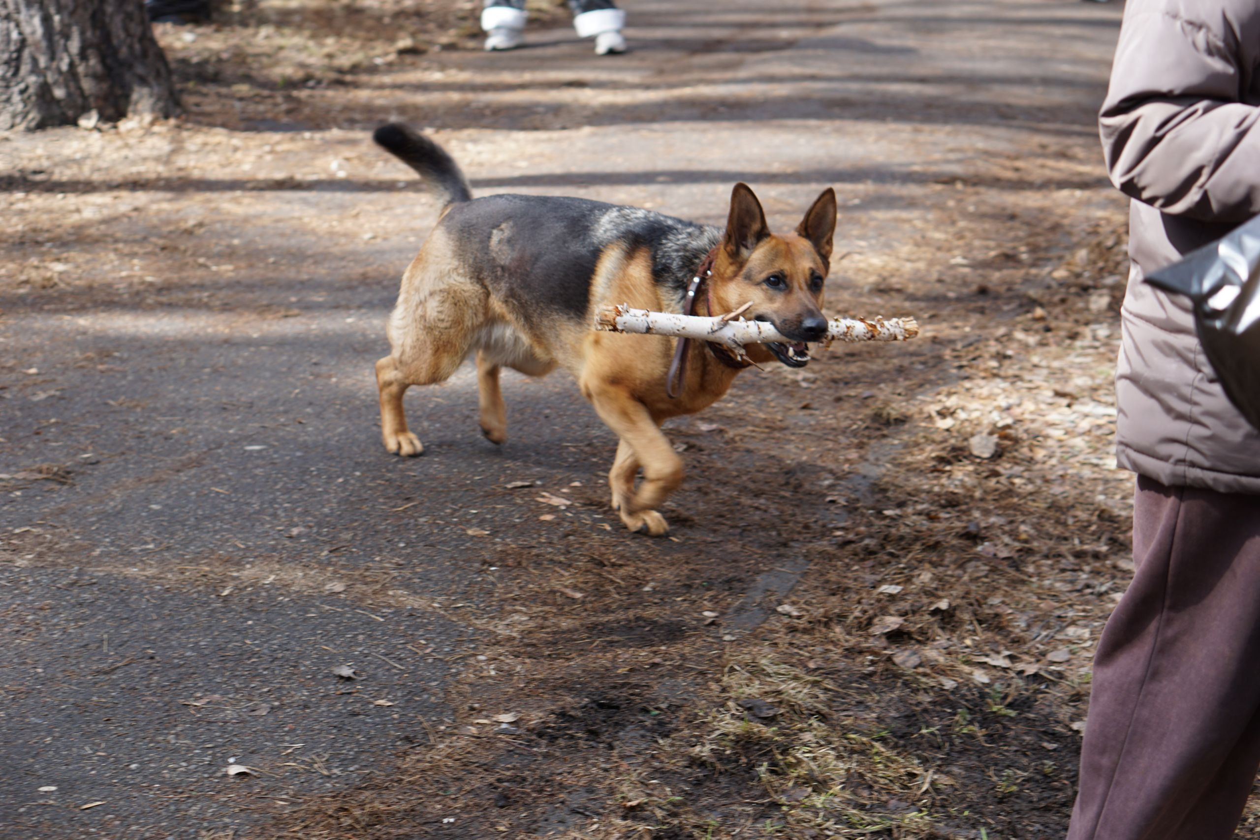 Весенний перезапуск. Иркутск вышел на субботник