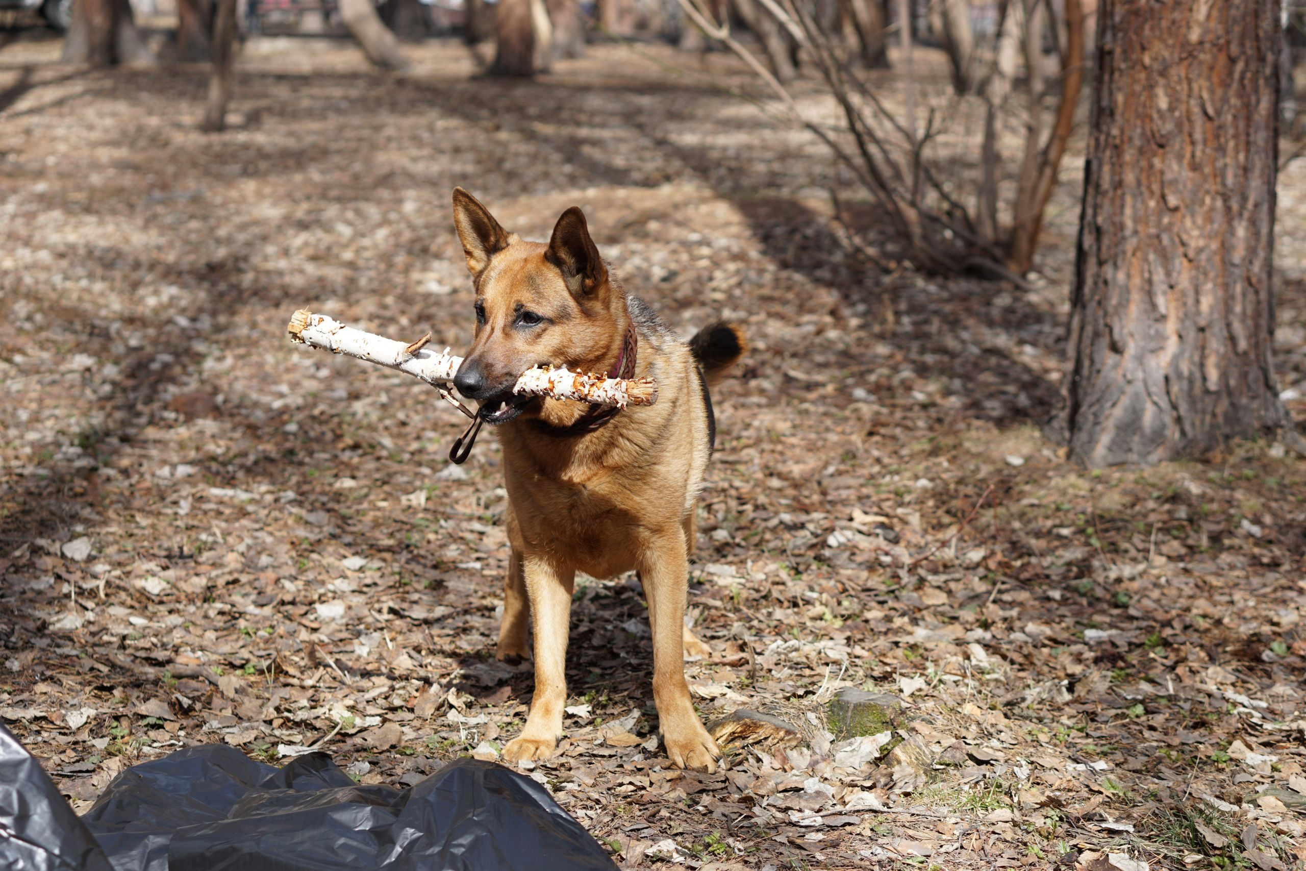 Весенний перезапуск. Иркутск вышел на субботник