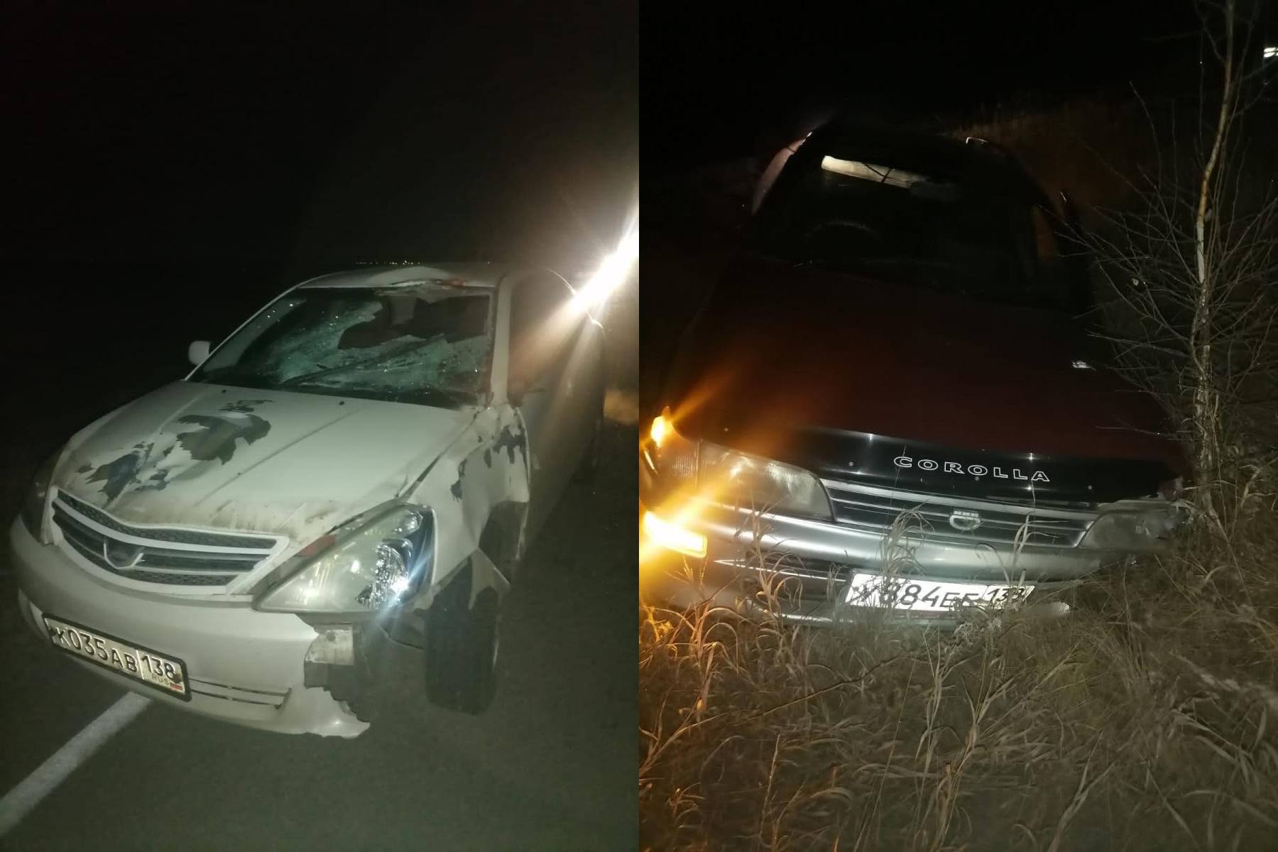 Два автомобиля в Зиминском районе Приангарья наехали на одну лошадь