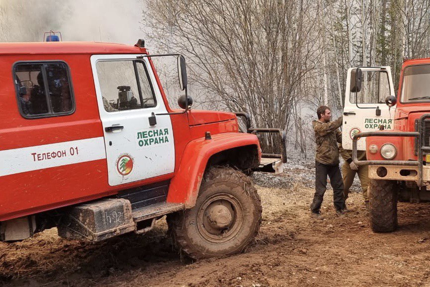 Два пожара в лесах зарегистрировали за сутки в Приангарье