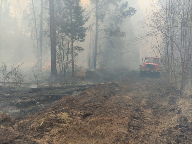 Два района Иркутской области находятся в зоне задымления от пожаров