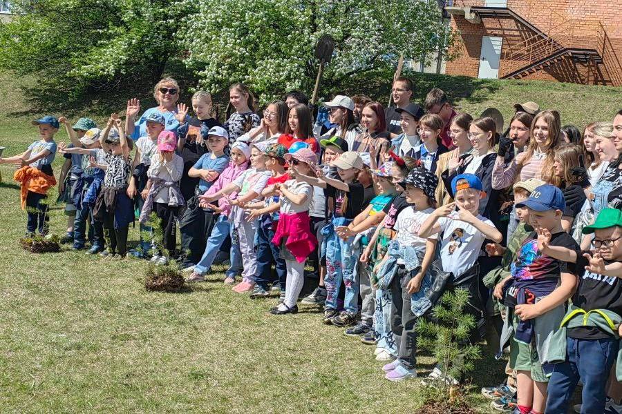 Сайт смс знакомства и доска объявлений в Иркутске