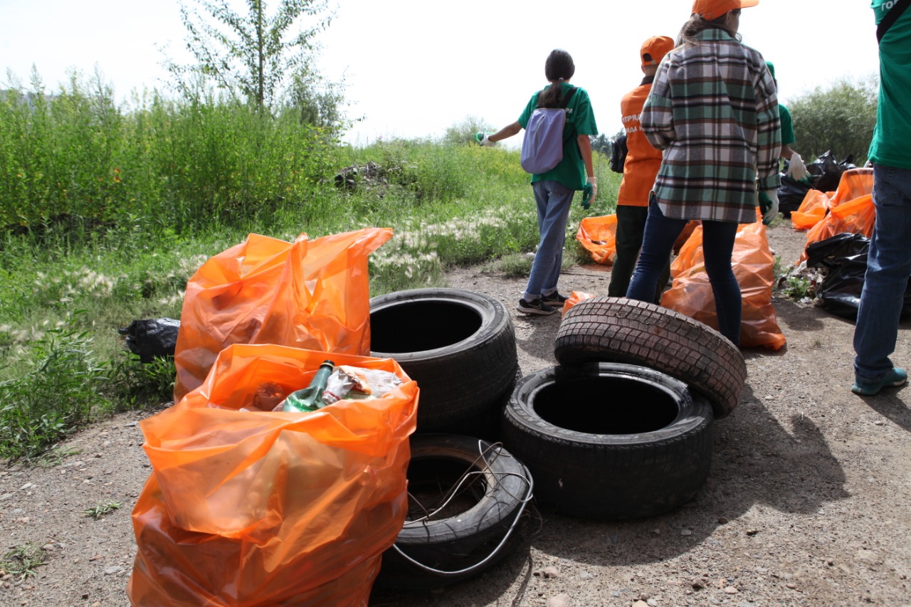 Экологические отряды мэра убрались на острове Конном в Иркутске