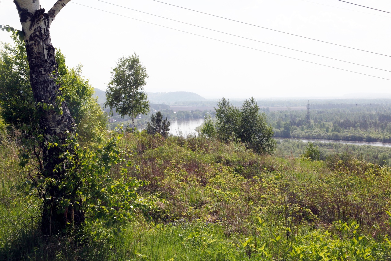 Экологические тропы «Птичья гавань» и «Кайская роща» предлагают создать в Иркутске