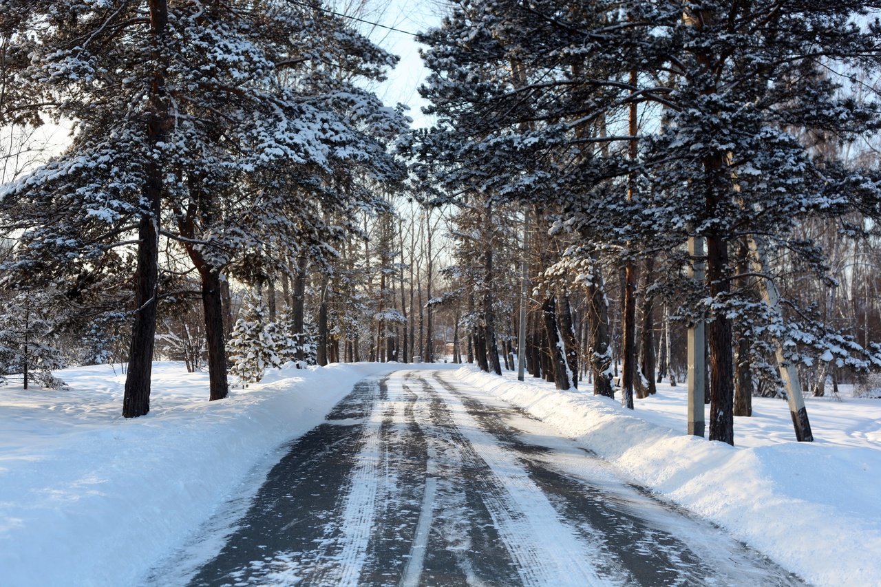 Eks Ministr Lesnogo Kompleksa Priangarya Sergey Sheverda Vyshel Na Svobodu