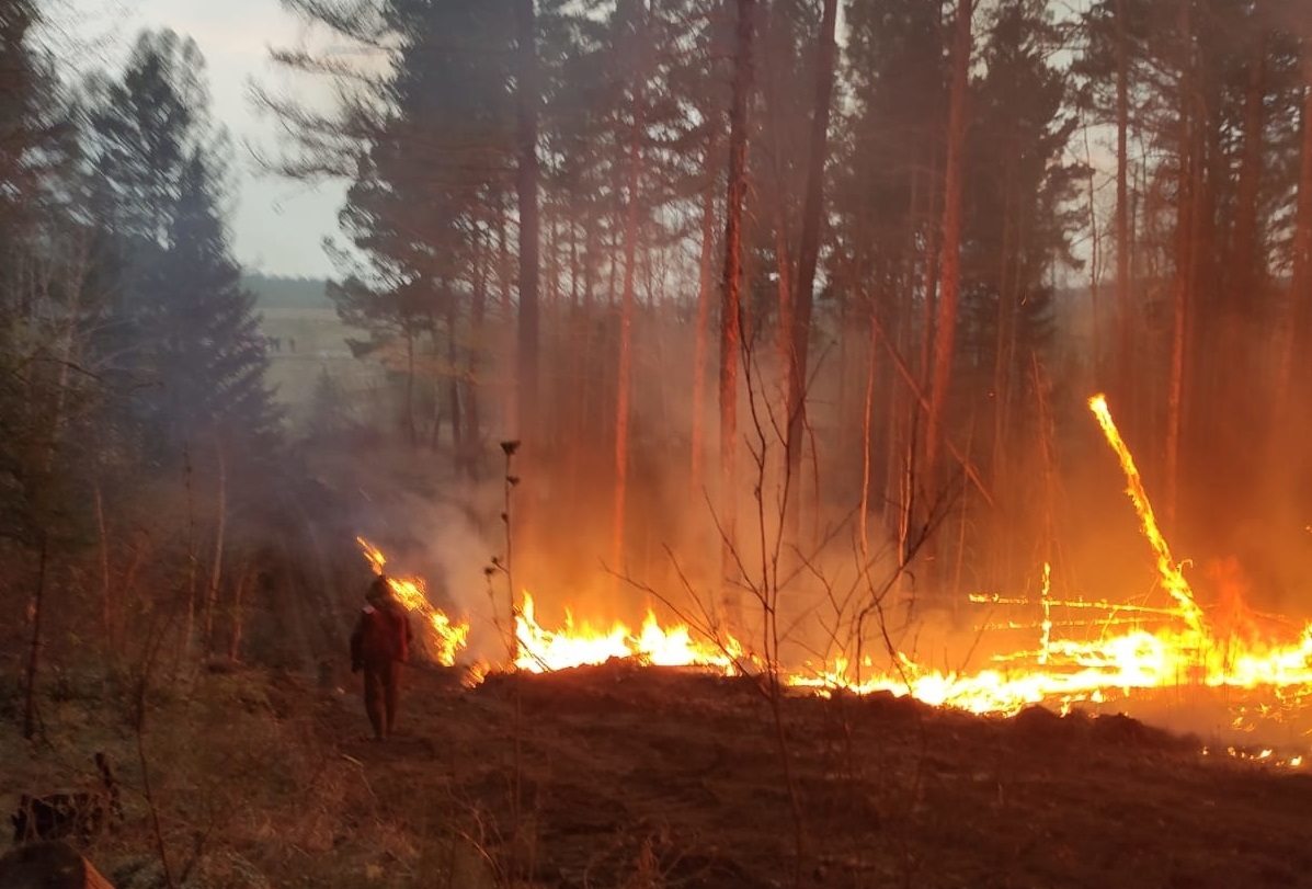 Фото лесных пожаров в сибири