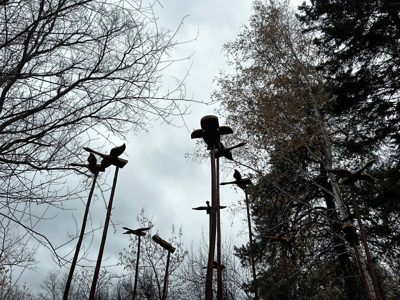 Эвенкийское стойбище появилось в Ботаническом саду в Иркутске