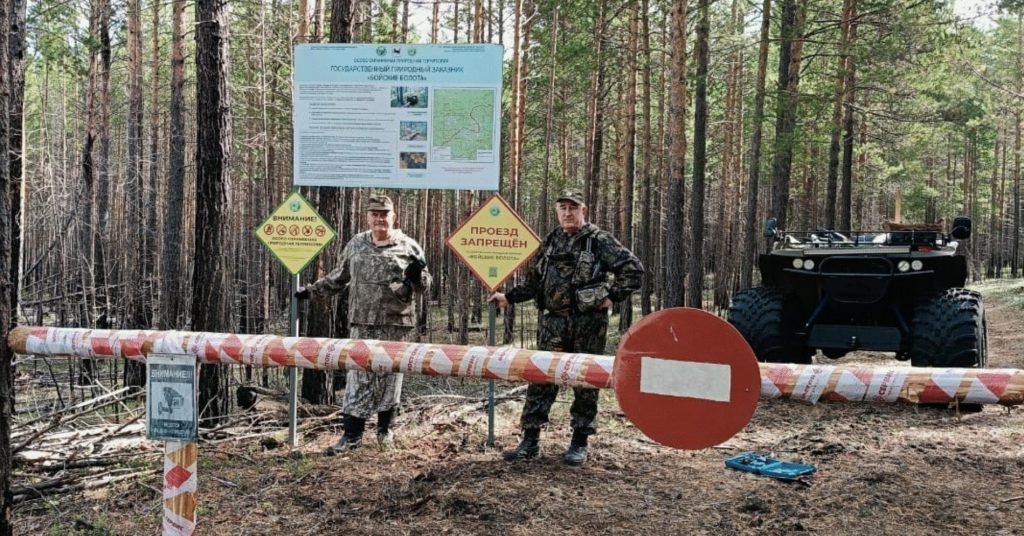 "Бойские болота" в Приангарье стали опасны из-за медведей