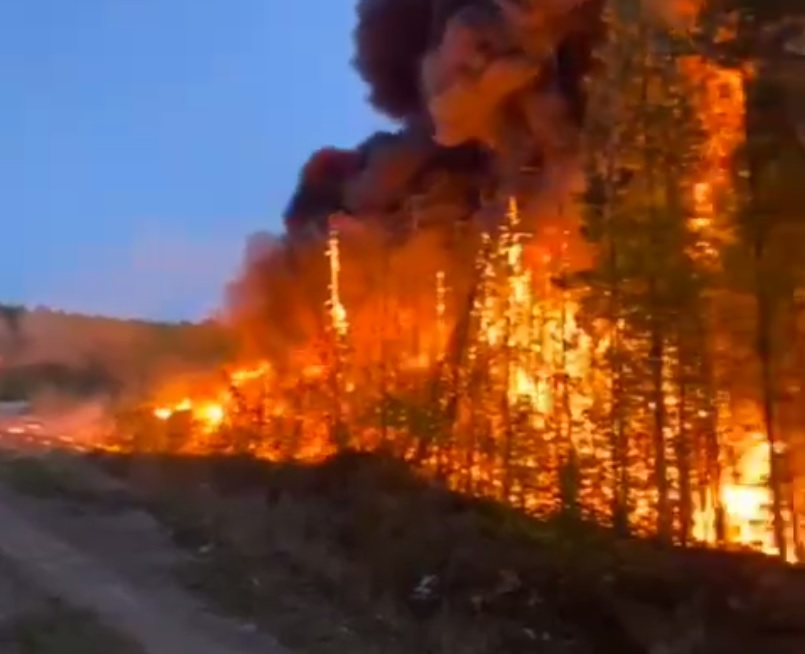 Грузовик с топливом перевернулся на трассе в Бодайбинском районе. От пожара загорелся лес