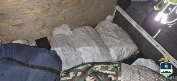 Крупную партию незаконно добытого омуля изъяли в Улан-Удэ