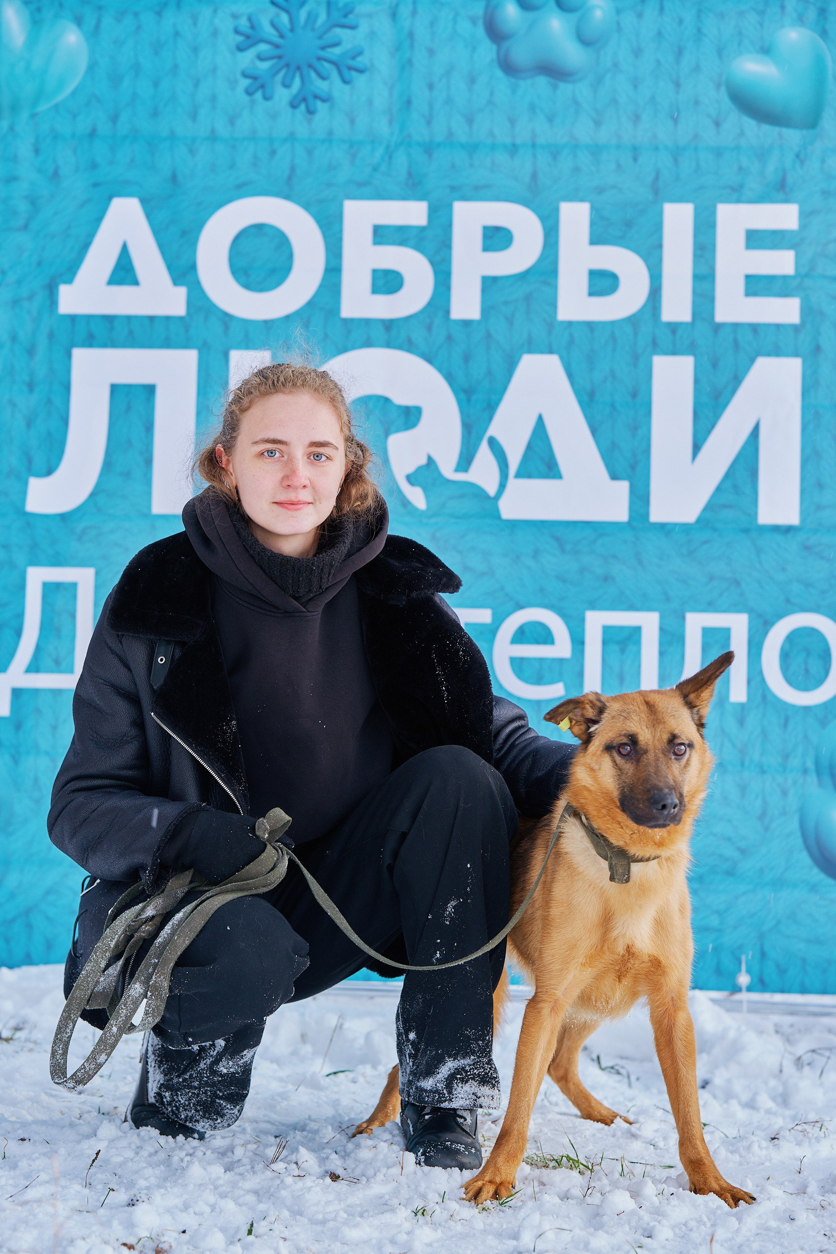 Партия добрых дел: как «Новые люди» помогают бездомным животным в Приангарье