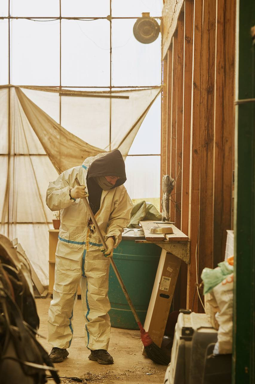 Партия добрых дел: как «Новые люди» помогают бездомным животным в Приангарье