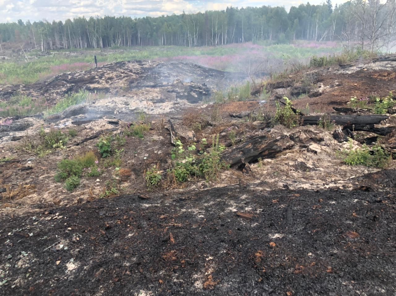 Комиссия по ЧС Приангарья обязала мэрию Тайшетского района принять меры по тушению горящей свалки