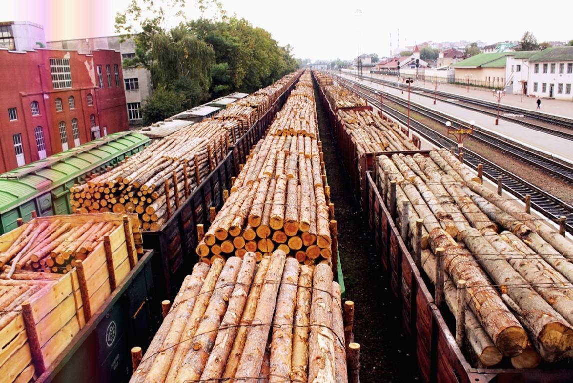 Контрабанду леса в Китай на 30 млн рублей пресекли в Иркутске