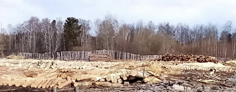 Крупный канал контрабанды леса перекрыли в Иркутской области