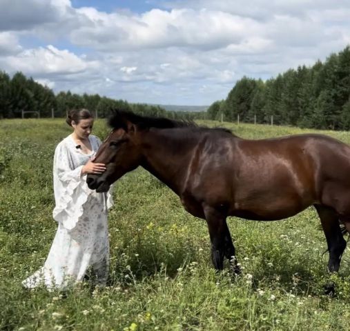 За помощью к лошадям