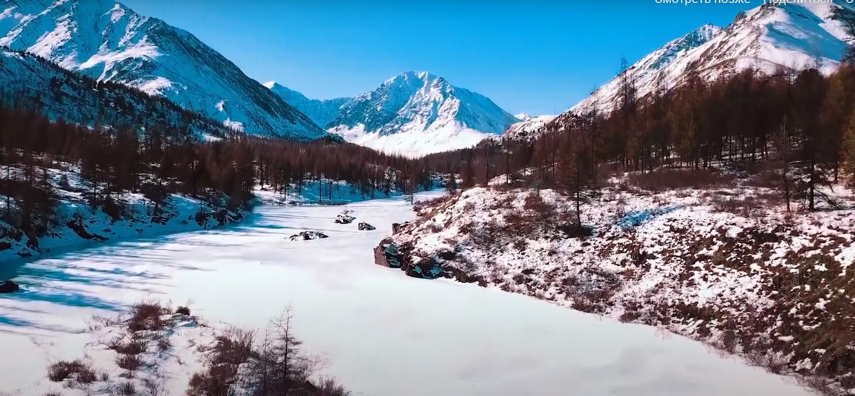 Масштабная экспедиция по учету снежного барса стартует в Сибири