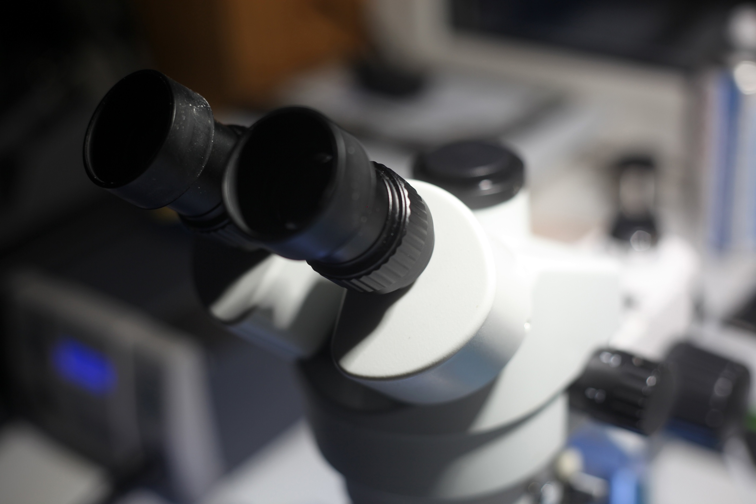 Миф или правда?