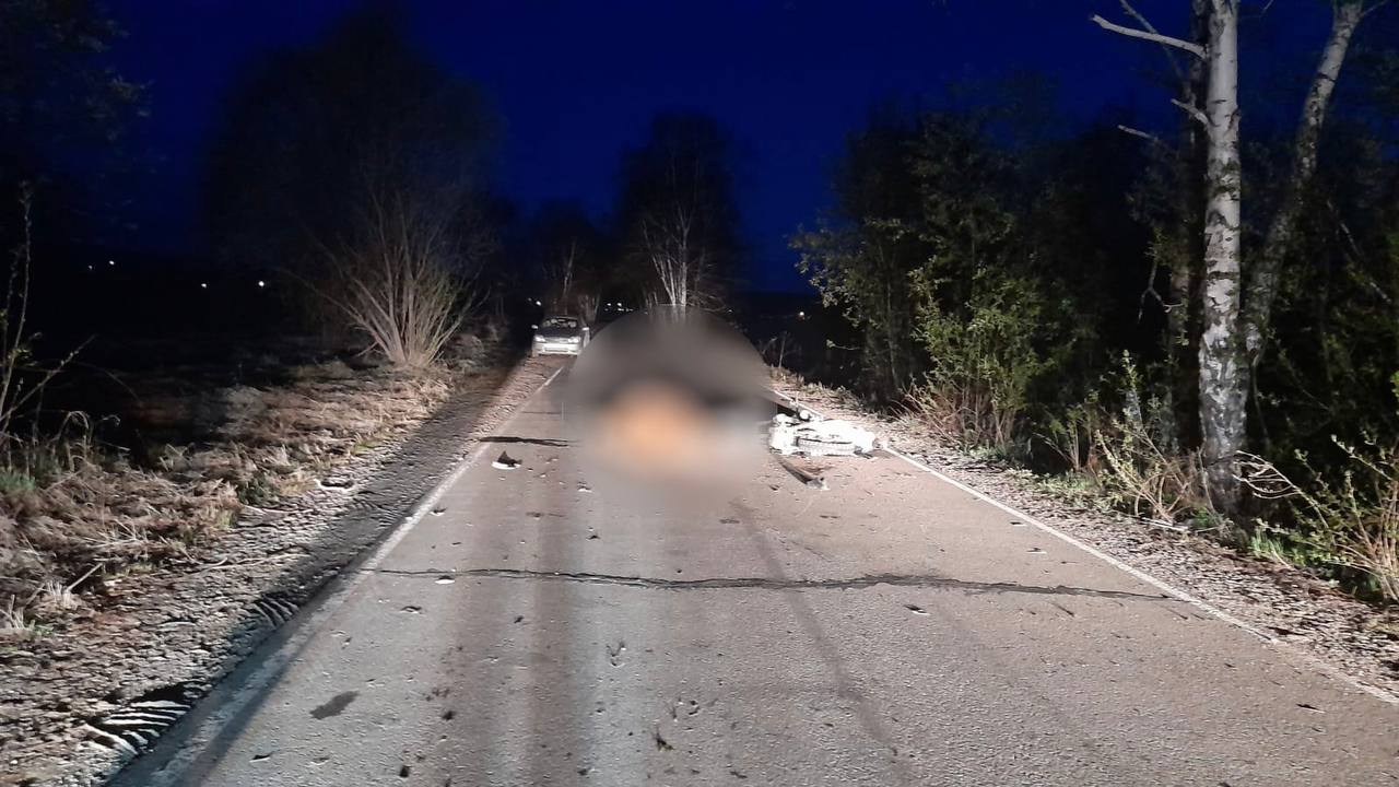 Мотоциклист сбил насмерть корову и погиб сам в Ангарском округе ночью 27 мая