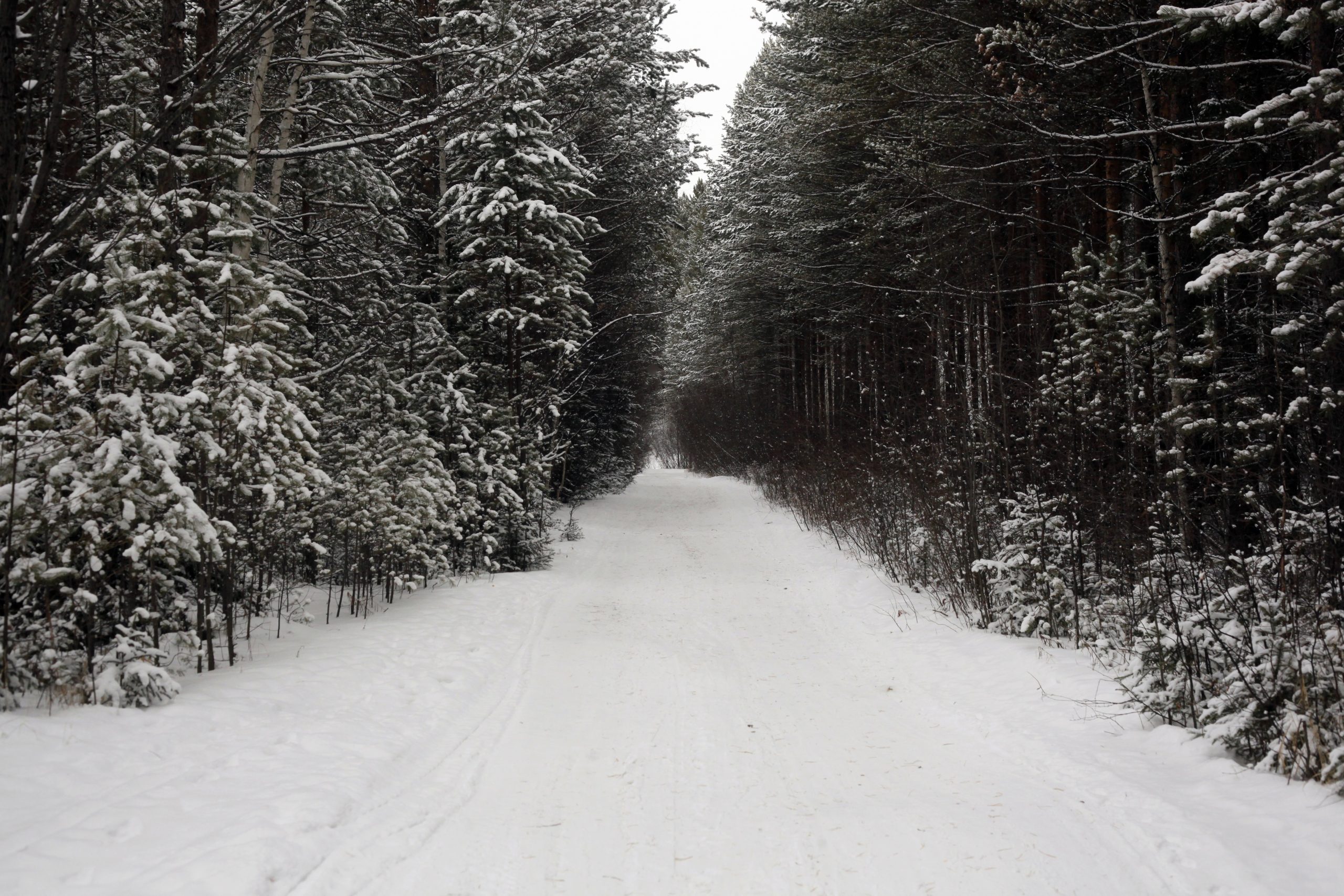 Мужчина погиб во время охоты в Зиминском районе