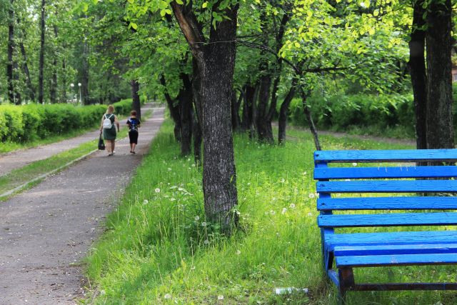 ТОП 10 «Выбираю чистый воздух»: Братск вошел в рейтинг активных городов-участников
