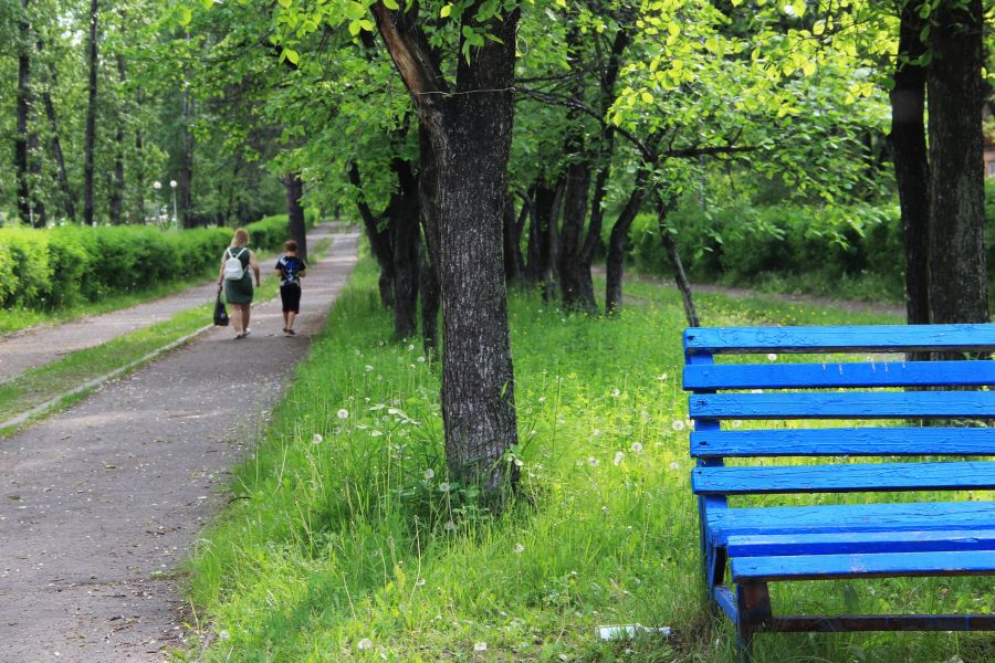 ТОП 10 «Выбираю чистый воздух»: Братск вошел в рейтинг активных городов-участников