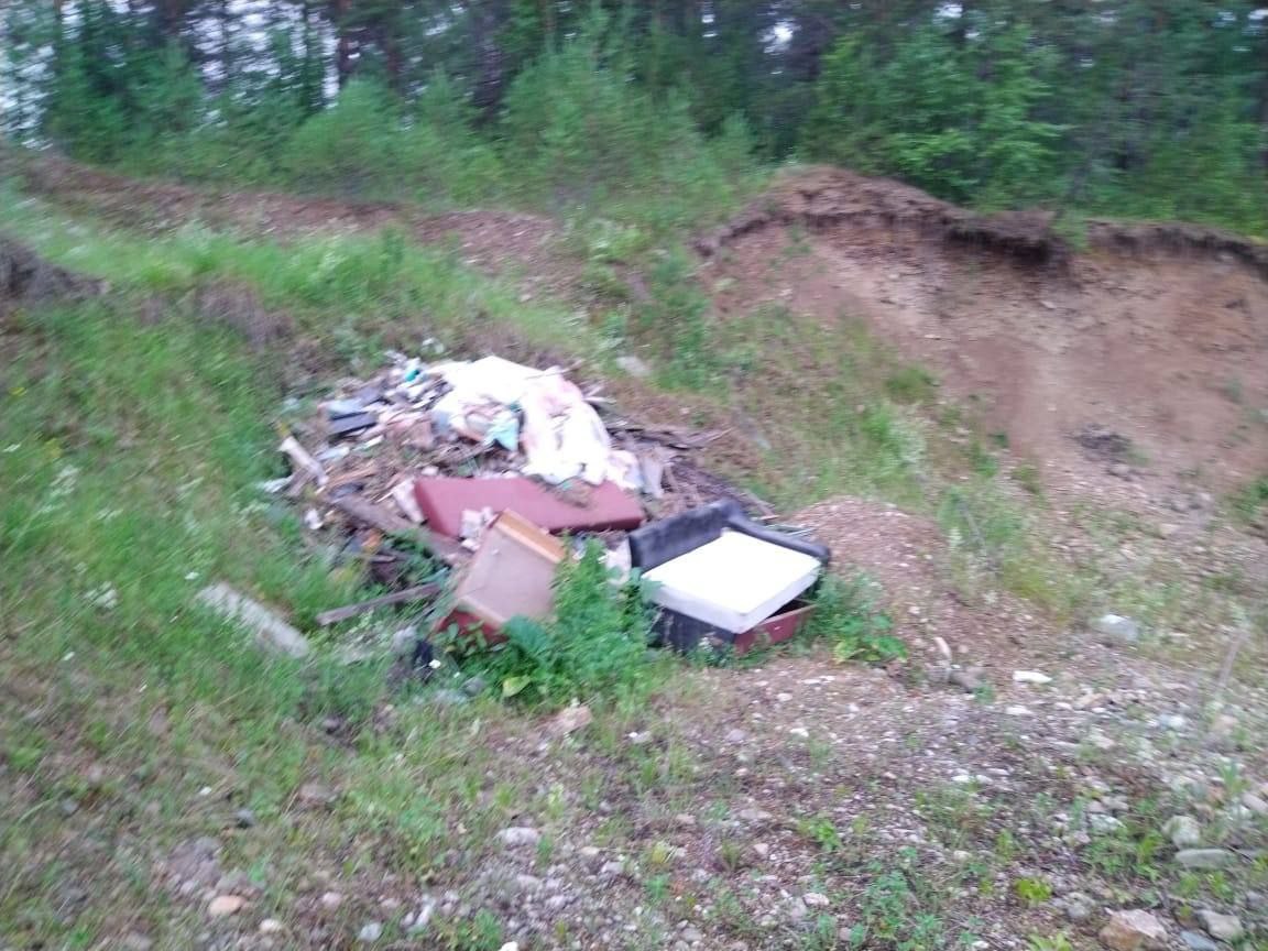 Свалка мусора в лесу.